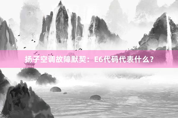 扬子空调故障默契：E6代码代表什么？